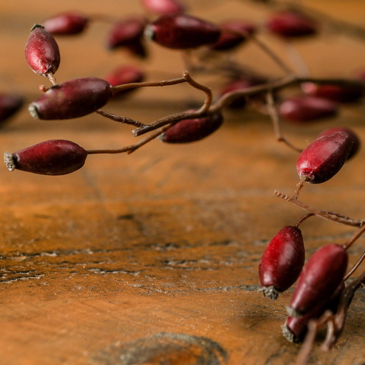 Burgundy Rosehip Stem by Hill Interiors - image 2