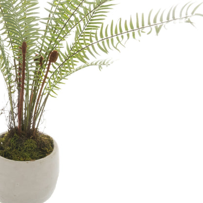 White Potted Boston Fern by Hill Interiors - image 2