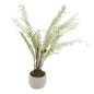 White Potted Boston Fern by Hill Interiors
