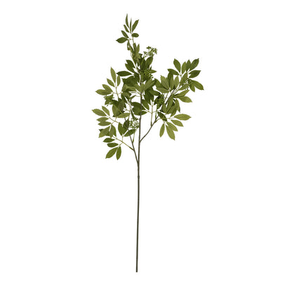 Long Fennel Stem by SEDERVA - image 4