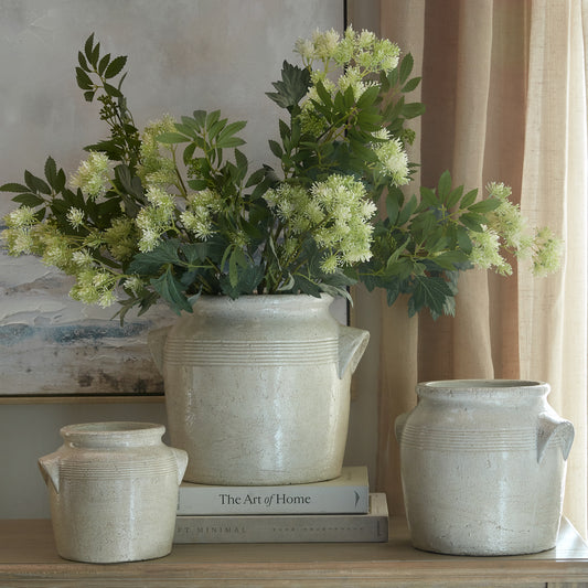 Long Fennel Stem by Hill Interiors