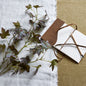 Variegated Maple Leaf by Hill Interiors