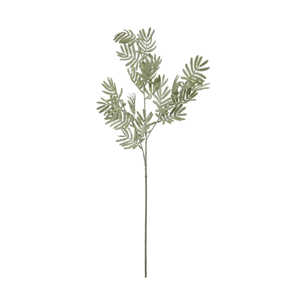 Silver Wattle Leaf by Hill Interiors - image 4