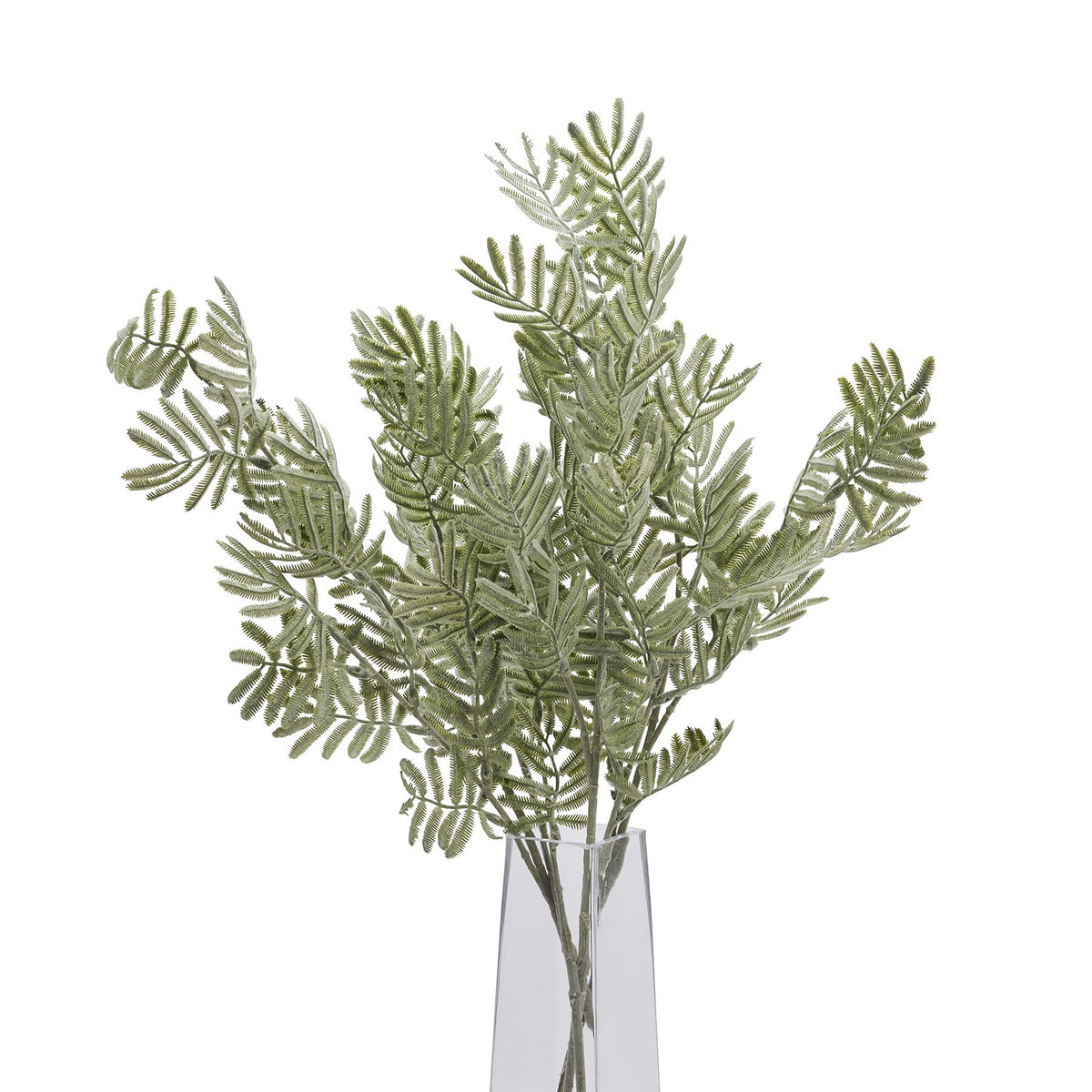 Silver Wattle Leaf by Hill Interiors - image 5