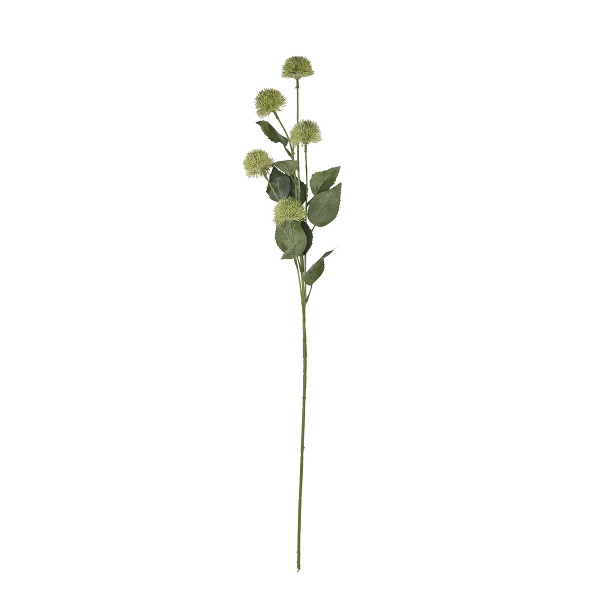 Thistle Globe Stem by Hill Interiors - image 4