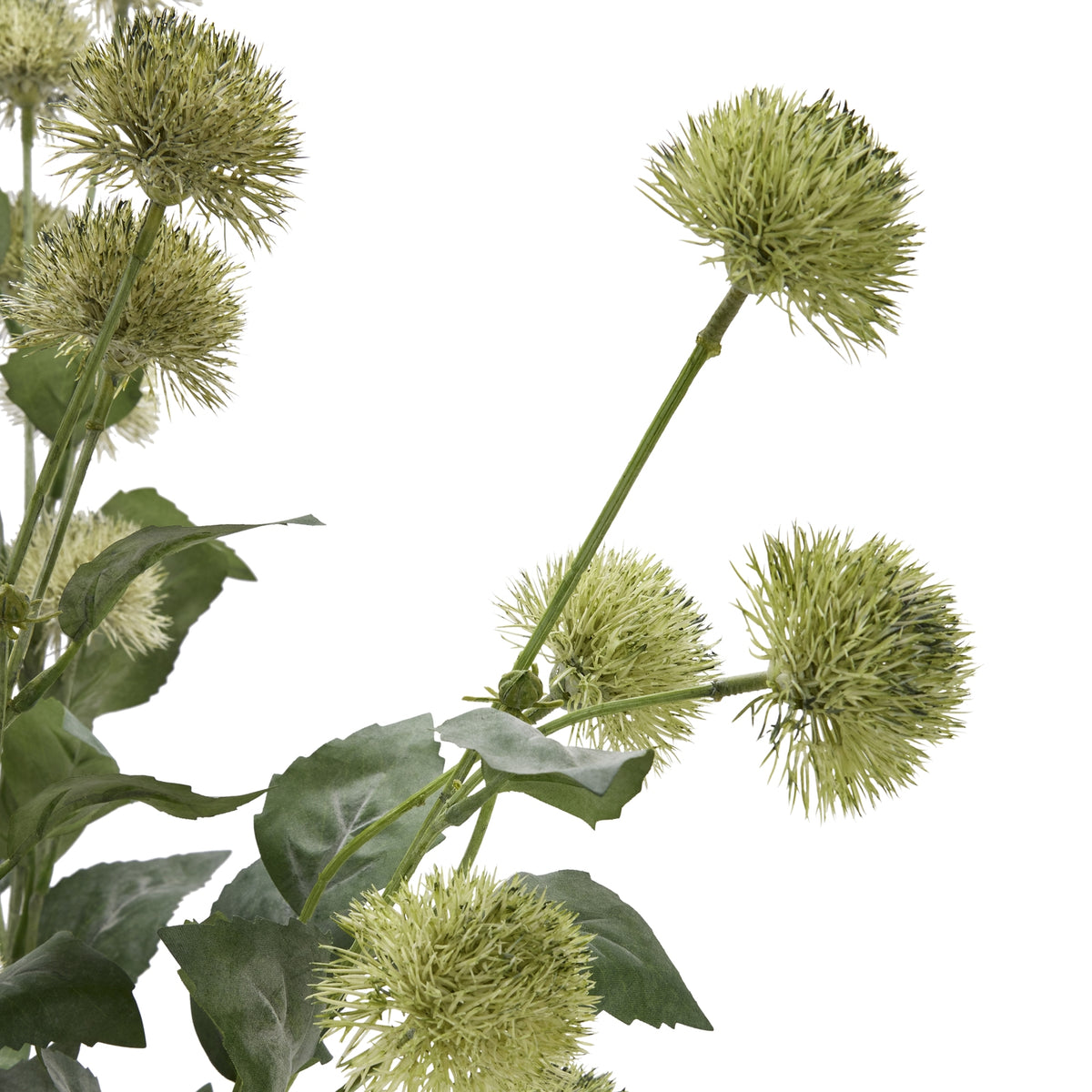 Thistle Globe Stem by Hill Interiors - image 5