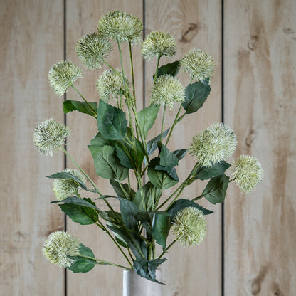 Thistle Globe Stem by Hill Interiors