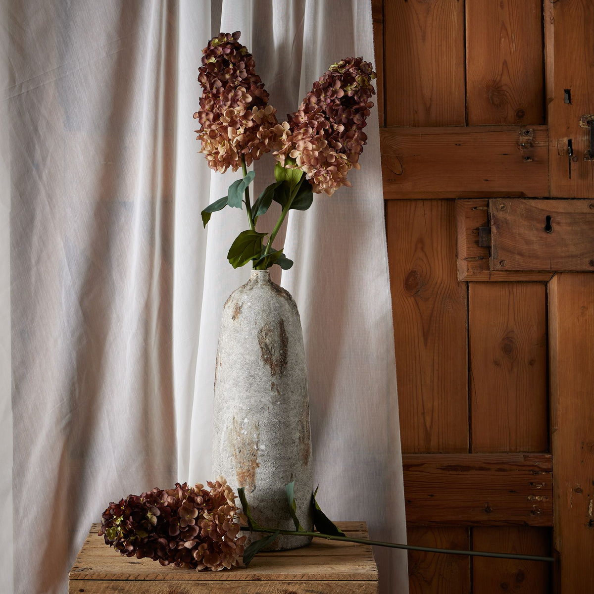 Burgundy Spear Hydrangea by SEDERVA - image 3
