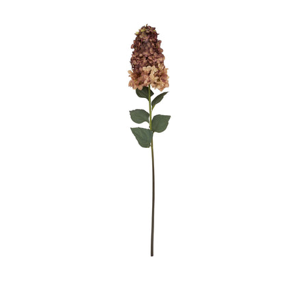 Burgundy Spear Hydrangea by SEDERVA - image 4