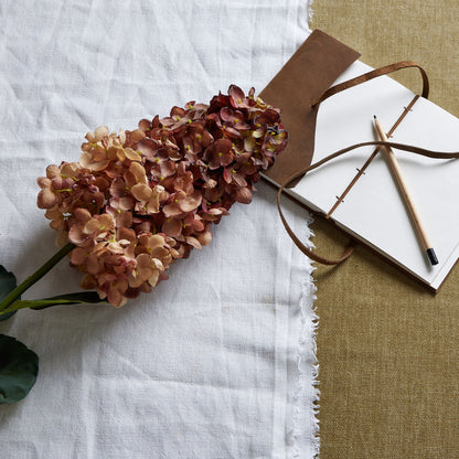 Burgundy Spear Hydrangea by SEDERVA