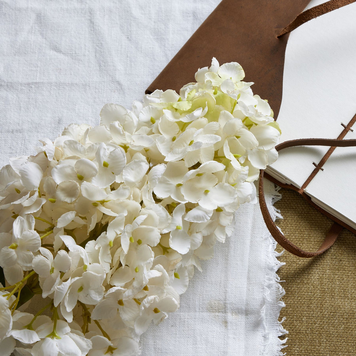 White Spear Hydrangea by SEDERVA - image 2
