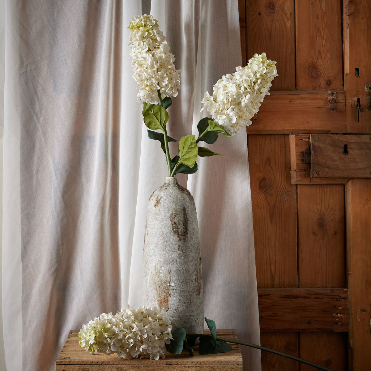 White Spear Hydrangea by SEDERVA - image 3