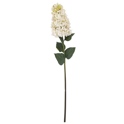White Spear Hydrangea by SEDERVA - image 4