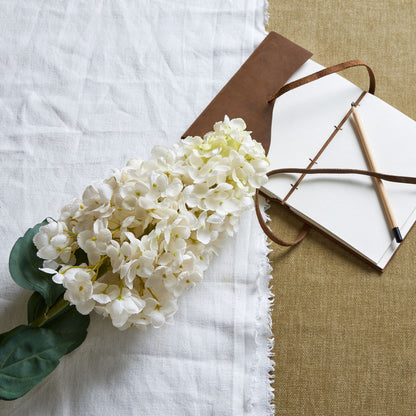 White Spear Hydrangea by SEDERVA