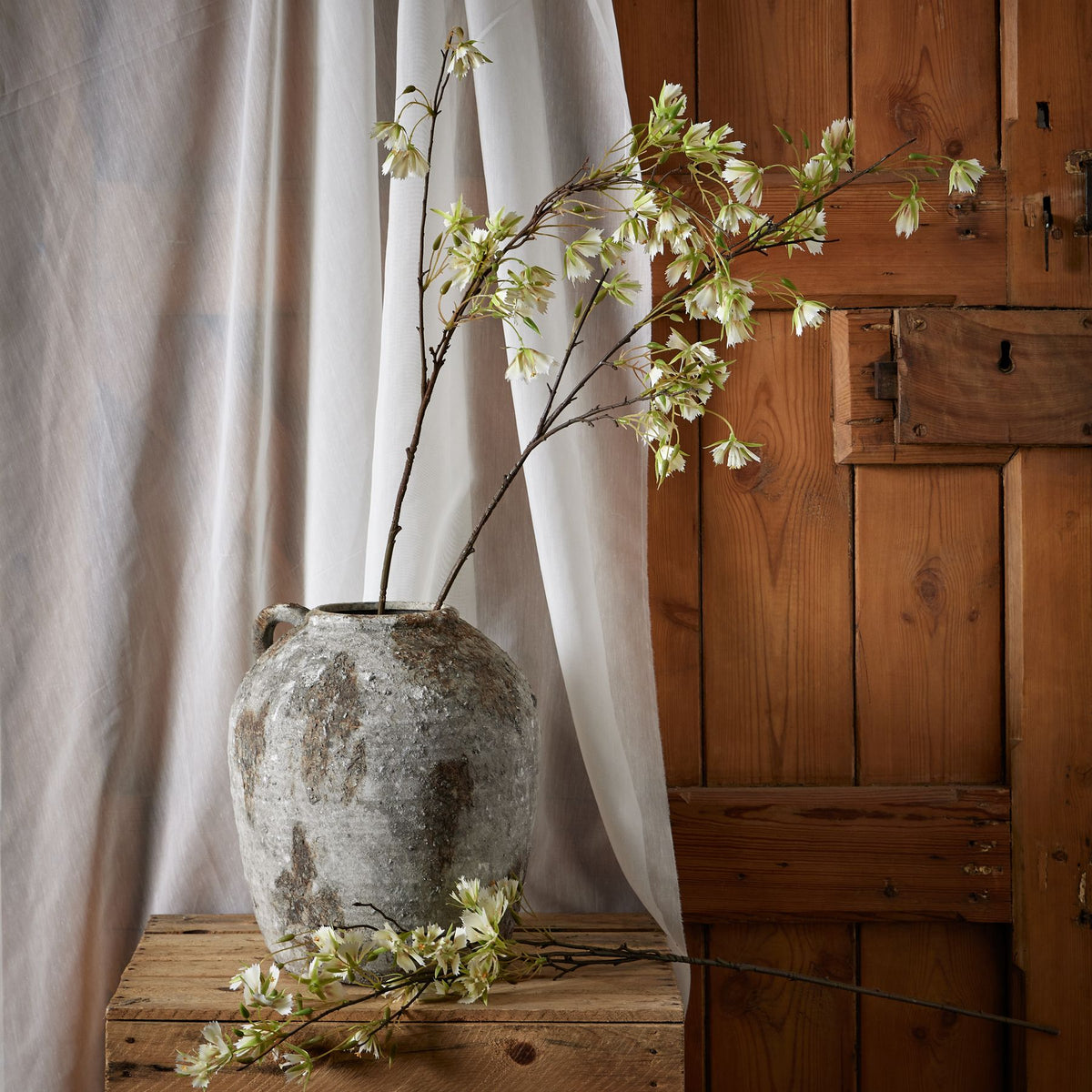 Elaeocarpus Stem by Hill Interiors - image 3