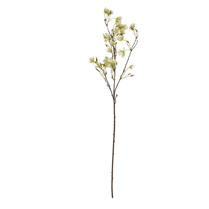 Elaeocarpus Stem by Hill Interiors - image 4
