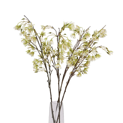 Elaeocarpus Stem by Hill Interiors - image 5