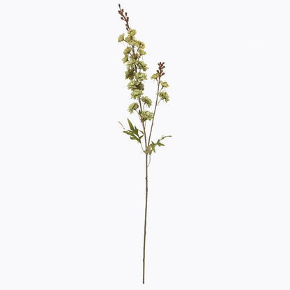 Tall Green Hops Stem by SEDERVA - image 4