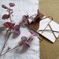 Burgundy Berried Eucalyptus by Hill Interiors