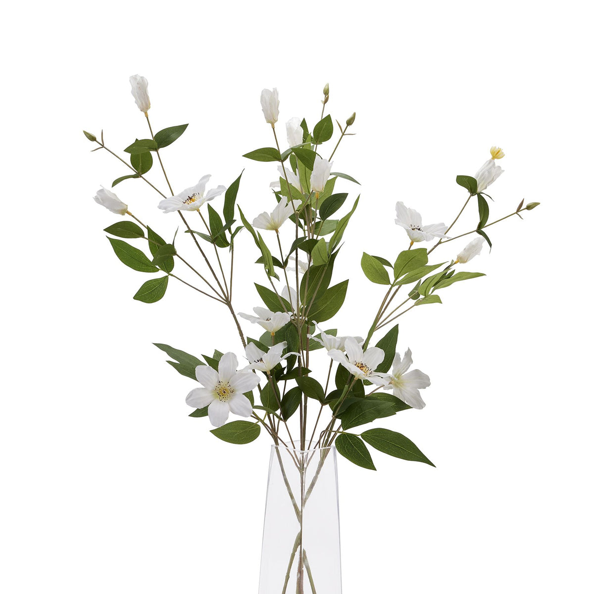White Florida Clematis by Hill Interiors - image 5