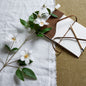 White Florida Clematis by Hill Interiors