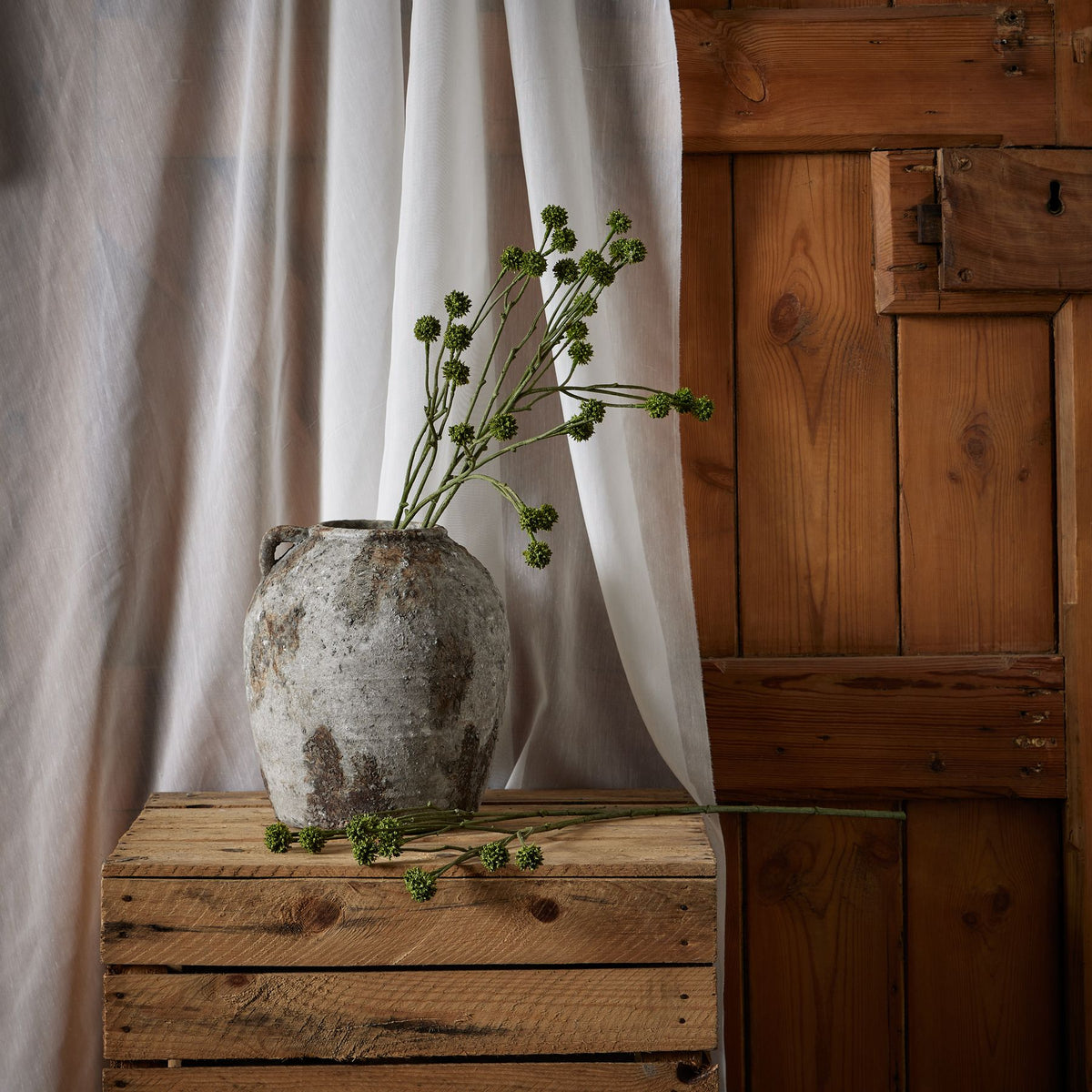 Green Craspedia Stem by Hill Interiors - image 3
