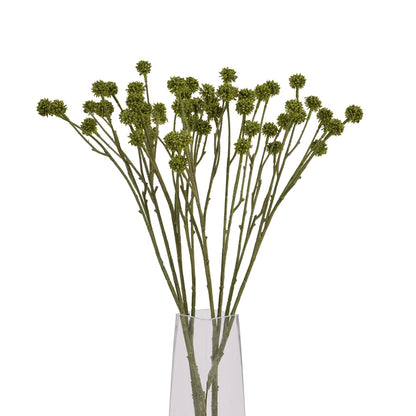 Green Craspedia Stem by Hill Interiors - image 5