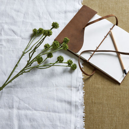 Green Craspedia Stem by Hill Interiors