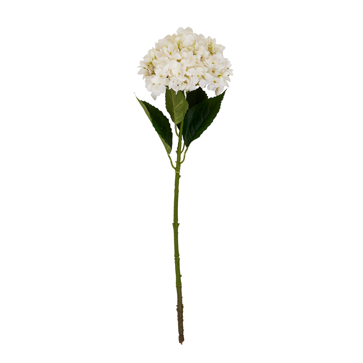 White Hydrangea Stem by Hill Interiors - image 2