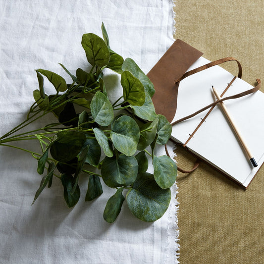 Short Eucalyptus Bunch by Hill Interiors