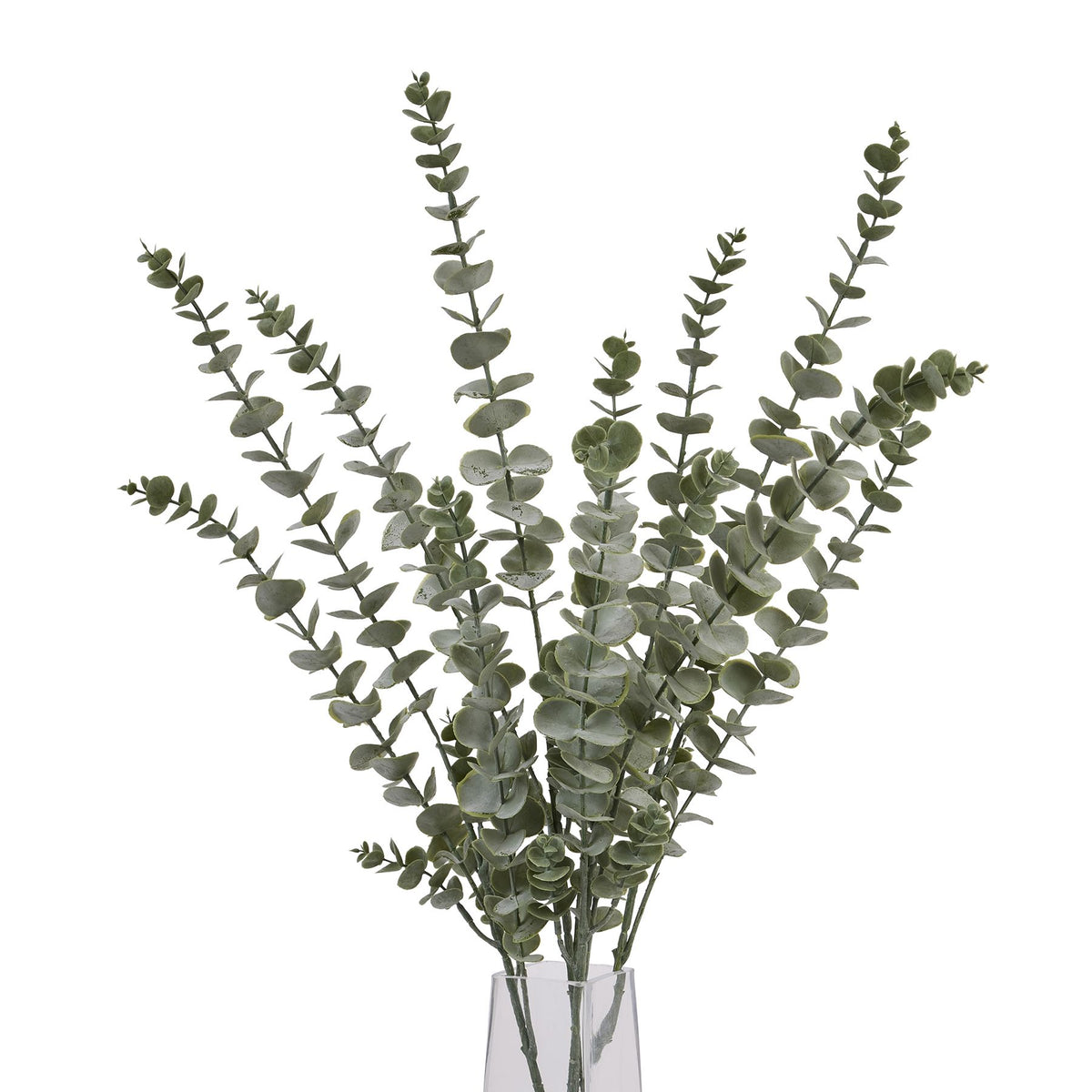 Gunnii Blue Eucalyptus Spray by Hill Interiors - image 5