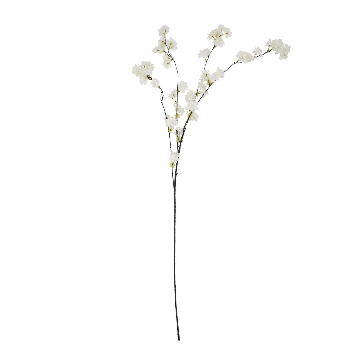Large White Cherry Blossom Stem by SEDERVA - image 2