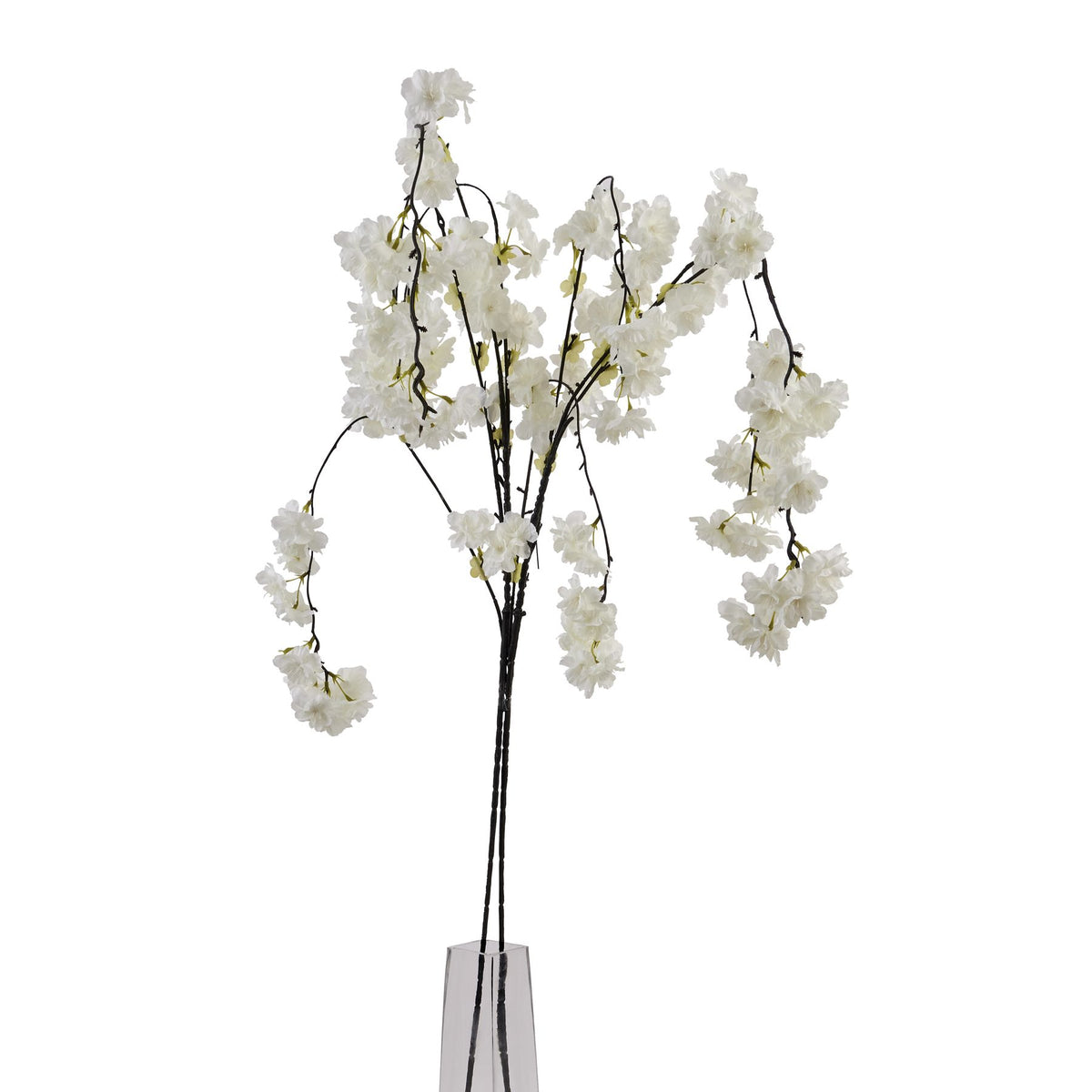 Large White Cherry Blossom Stem by SEDERVA