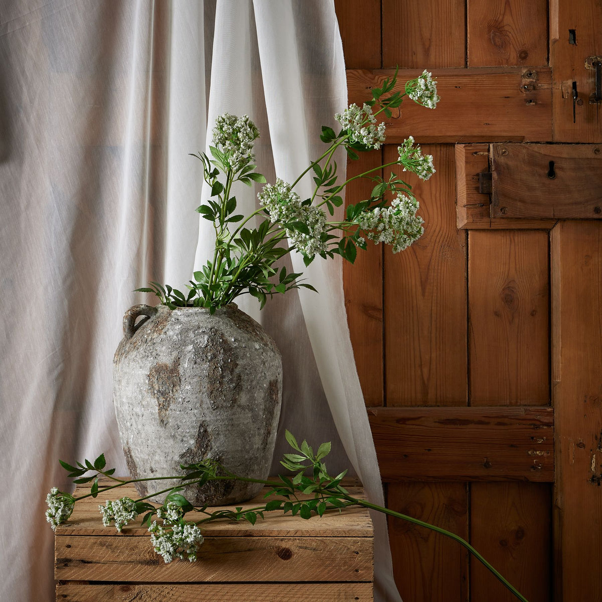 Faux White Cow Parsley Ammi by Hill Interiors - image 3