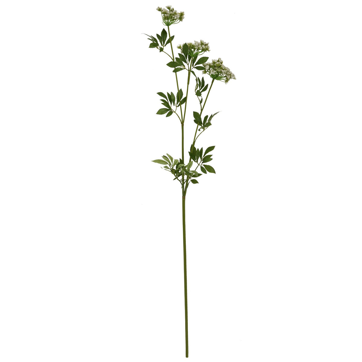 Faux White Cow Parsley Ammi by Hill Interiors - image 4