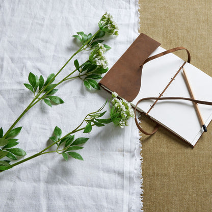 Faux White Cow Parsley Ammi by Hill Interiors