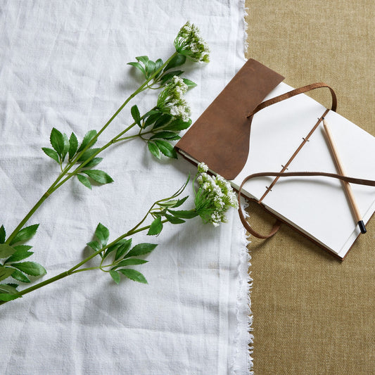 Faux White Cow Parsley Ammi by Hill Interiors