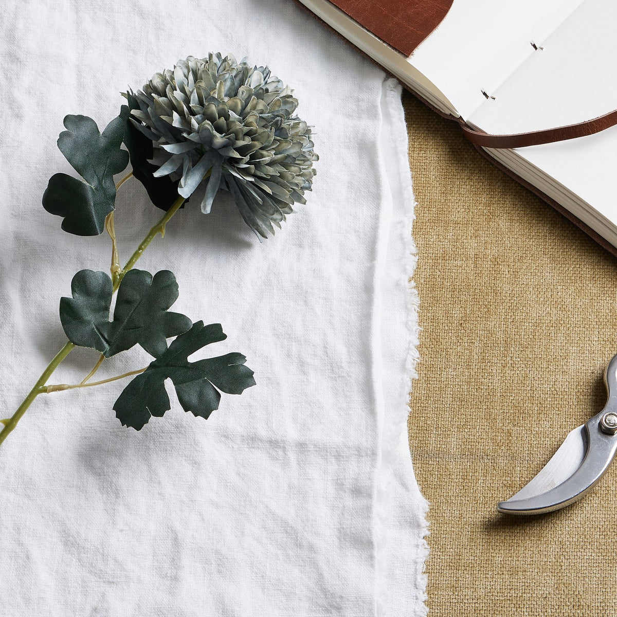Pale Green Blue Chrysanthemum by Hill Interiors - image 2