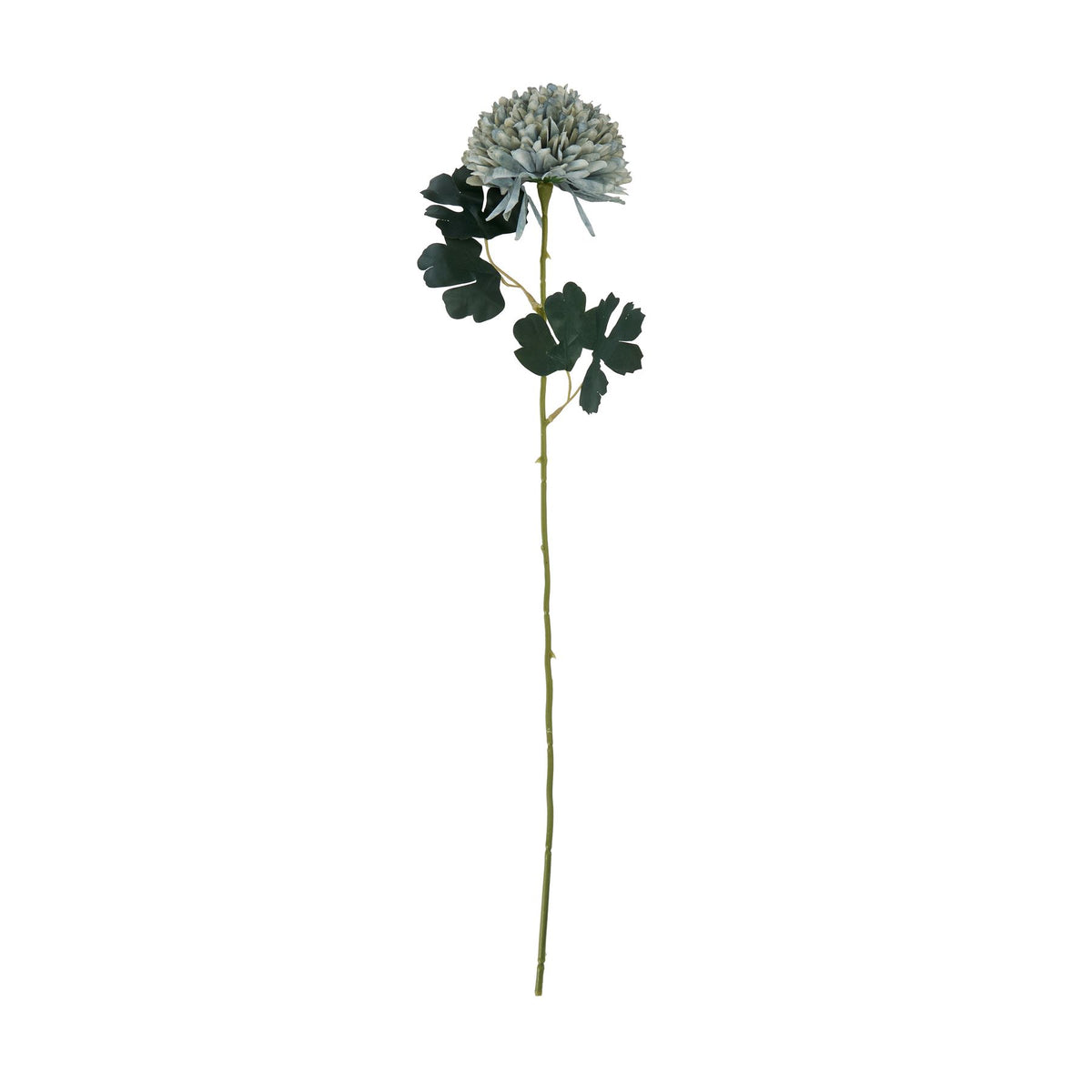Pale Green Blue Chrysanthemum by Hill Interiors - image 3