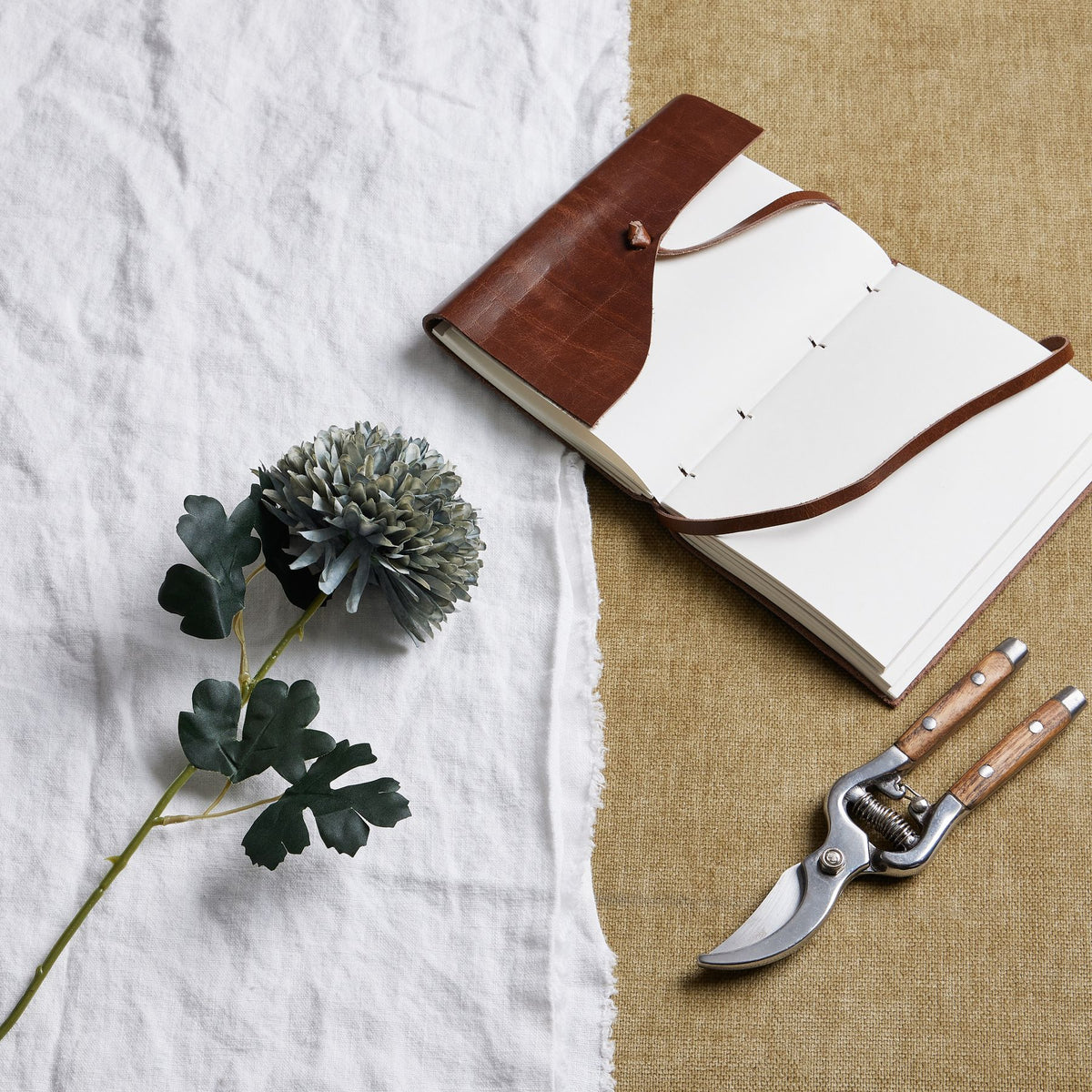 Pale Green Blue Chrysanthemum by Hill Interiors