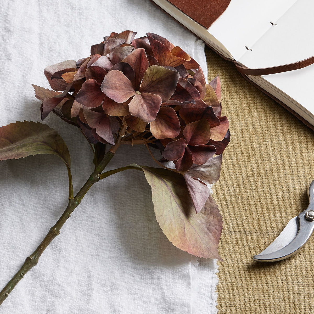 Mixed Autumn Browns Single Hydrangea Stem by SEDERVA - image 2
