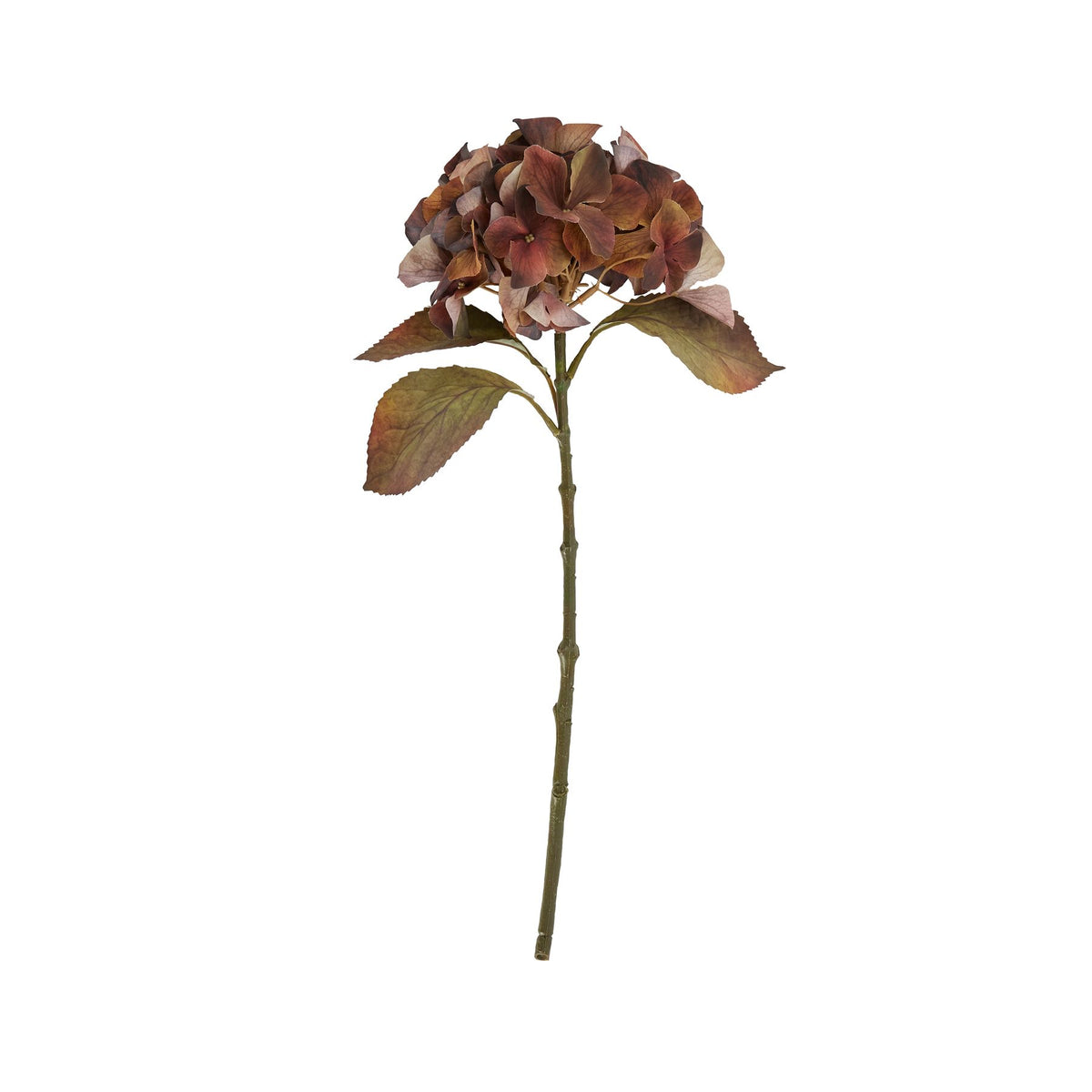 Mixed Autumn Browns Single Hydrangea Stem by SEDERVA - image 3