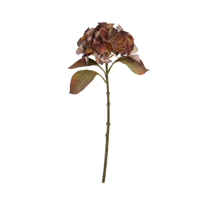 Mixed Autumn Browns Single Hydrangea Stem by SEDERVA - image 3