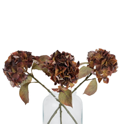 Mixed Autumn Browns Single Hydrangea Stem by SEDERVA - image 4