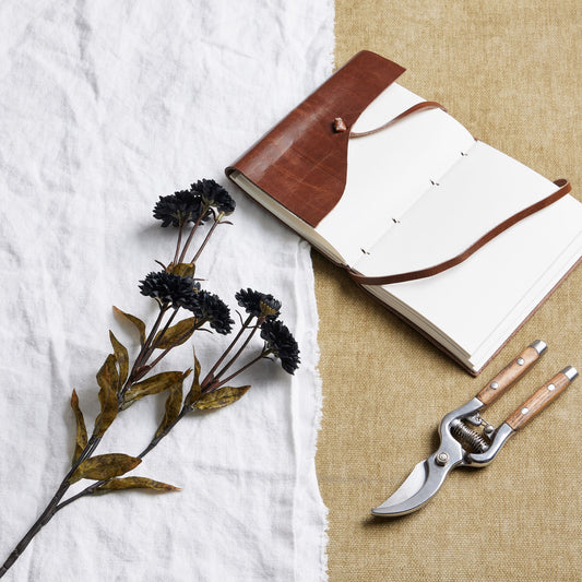 Black Chrysanthemum by Hill Interiors