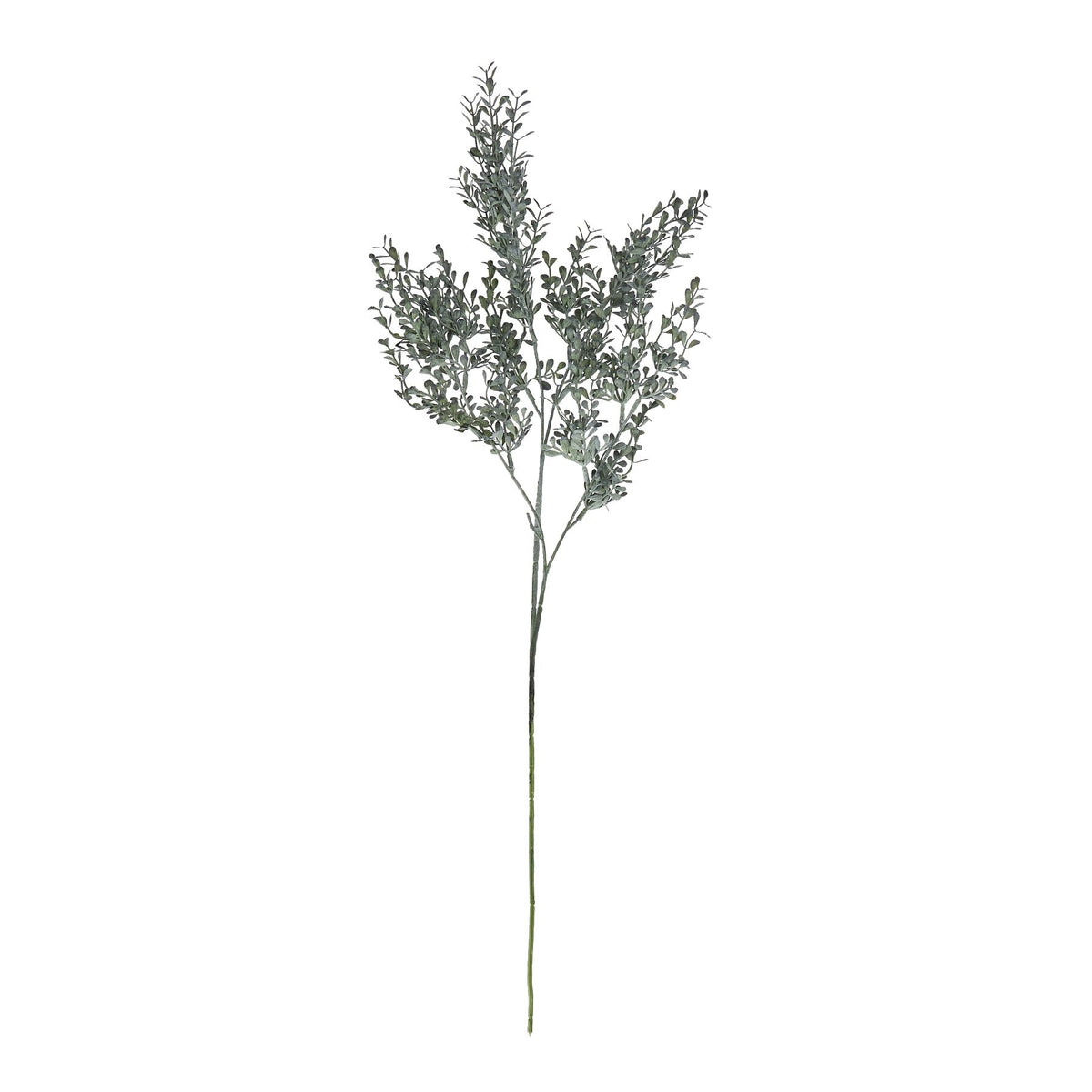 Blackened Grass Spray Stem by Hill Interiors - image 3