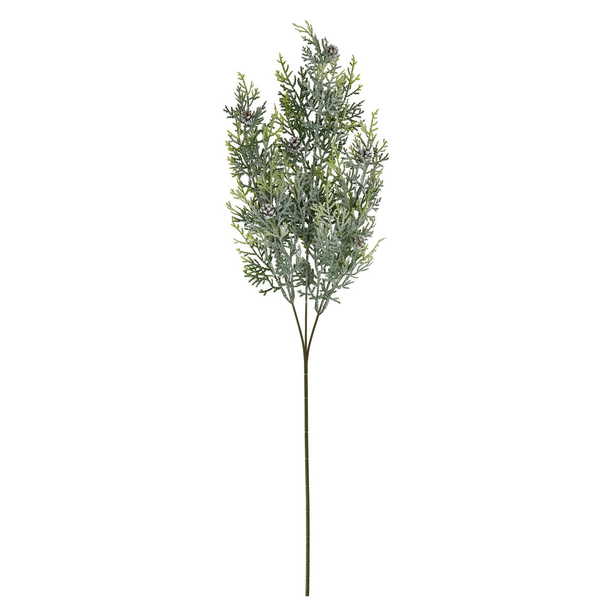 Frosted Pine Tall Stem With Pinecones by Hill Interiors - image 3