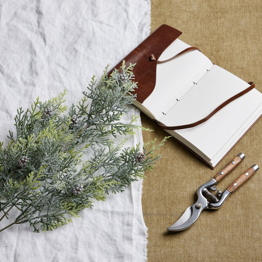 Frosted Pine Tall Stem With Pinecones by Hill Interiors