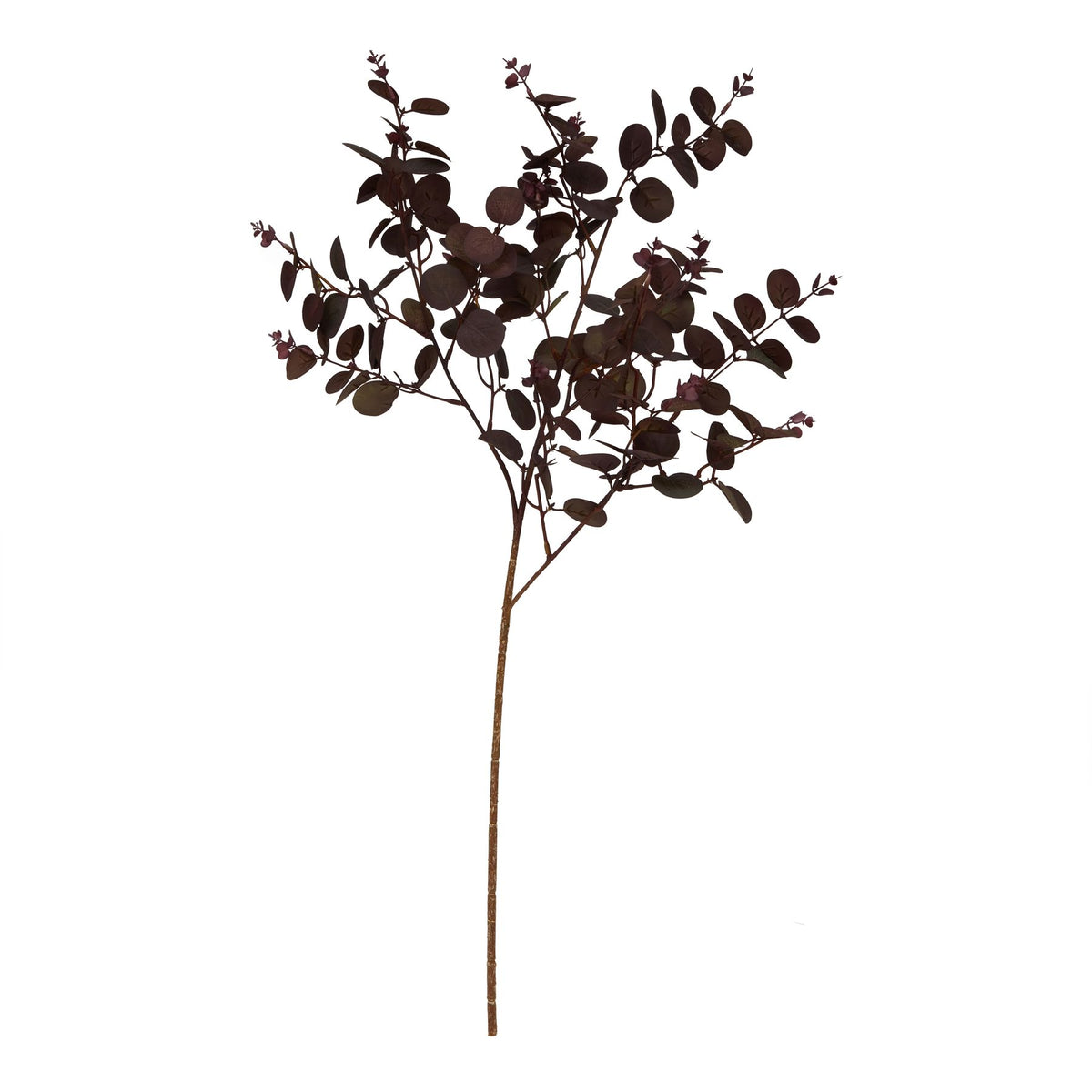 Burgundy Eucalyptus Bunch by Hill Interiors - image 2