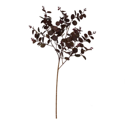 Burgundy Eucalyptus Bunch by Hill Interiors - image 2